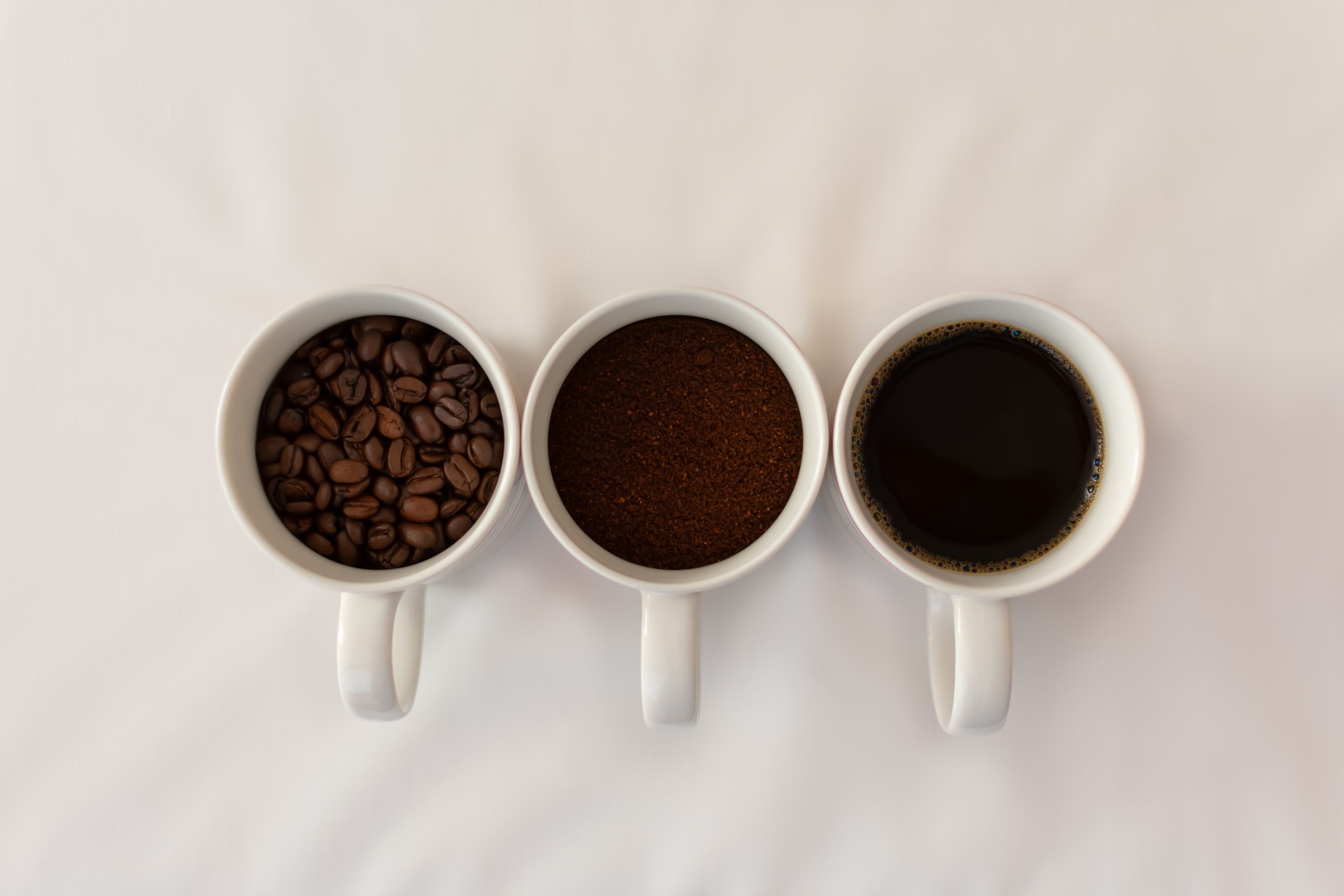 matt-steele-1392297-unsplash